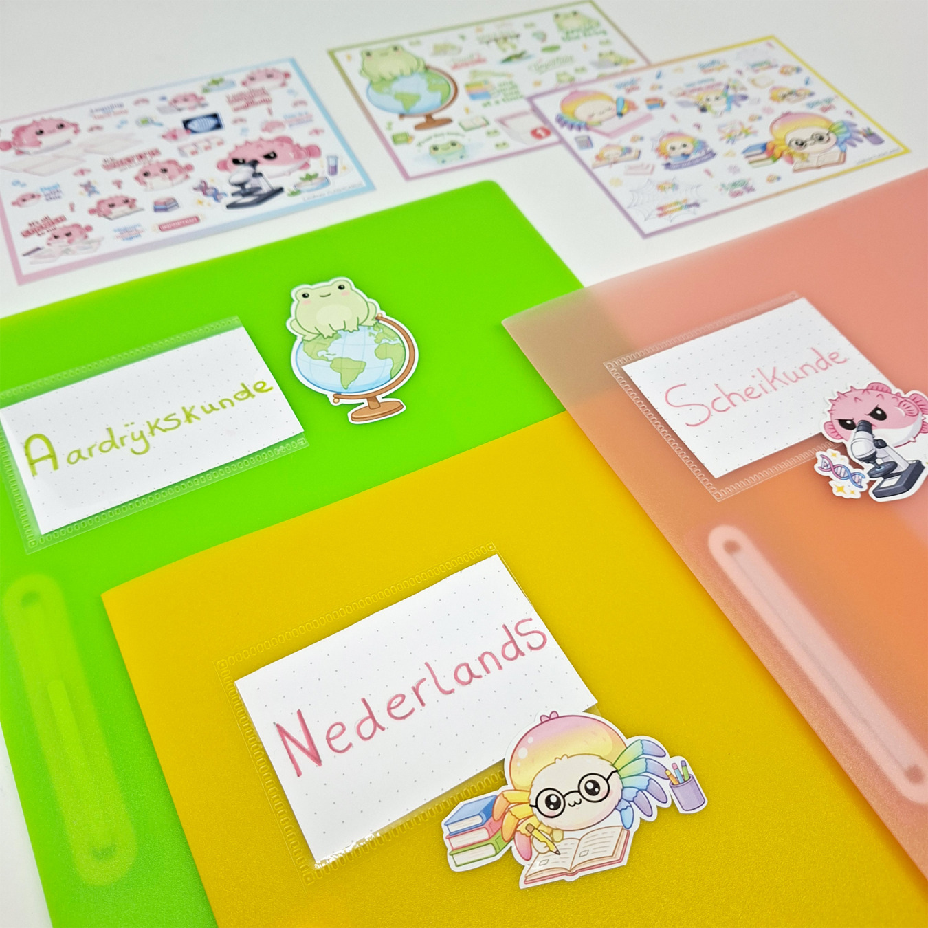 leitner flashcards stickers a6 spin