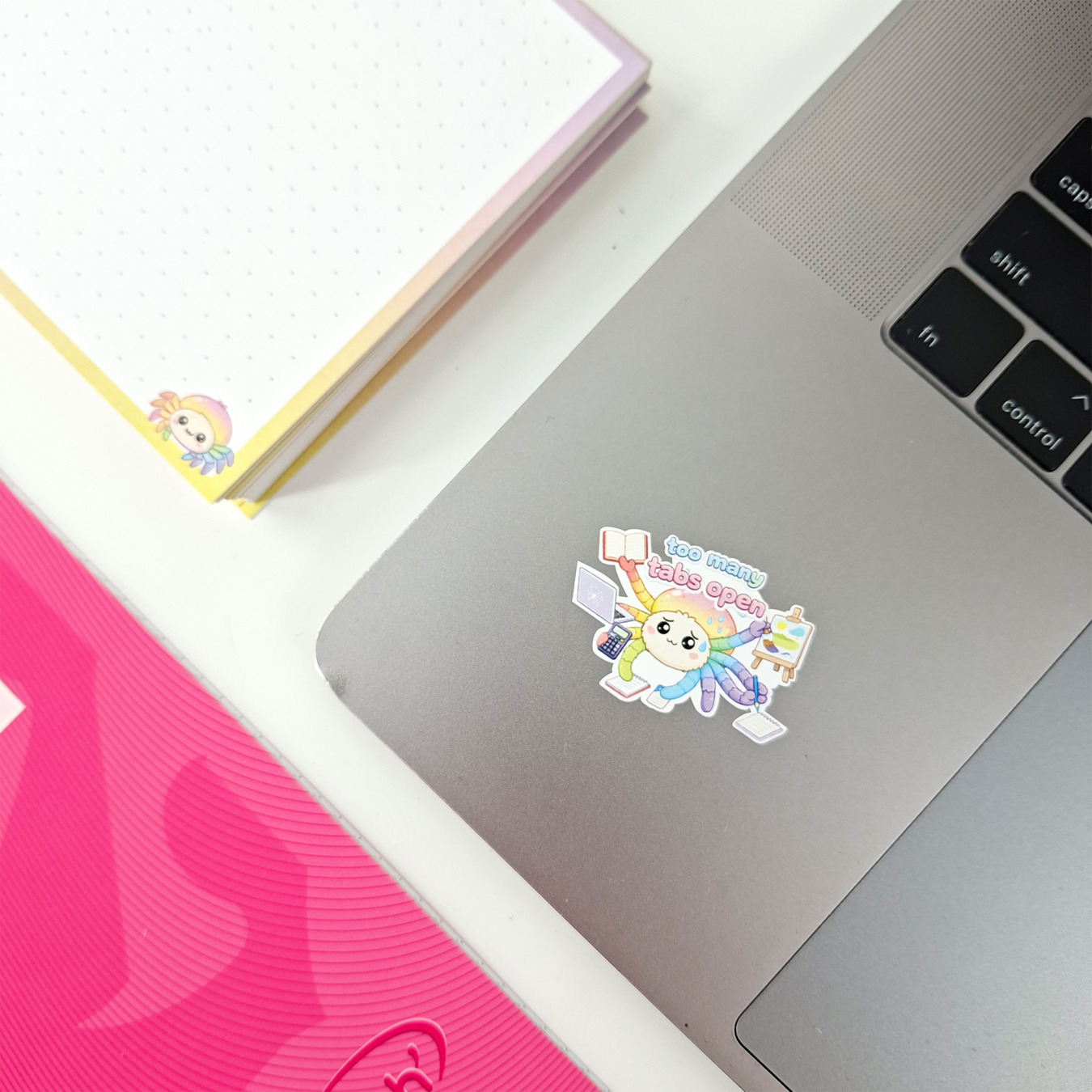 leitner flashcards stickers a6 spin
